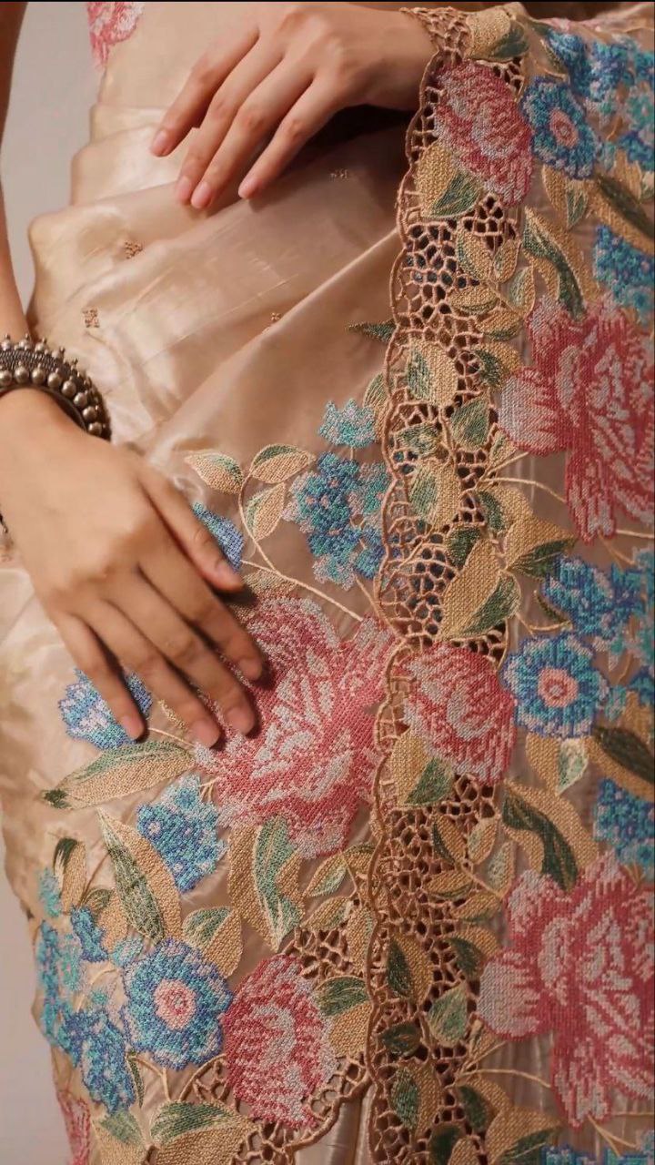 Bollywood Style JimmyChoo Organza Tissue Saree