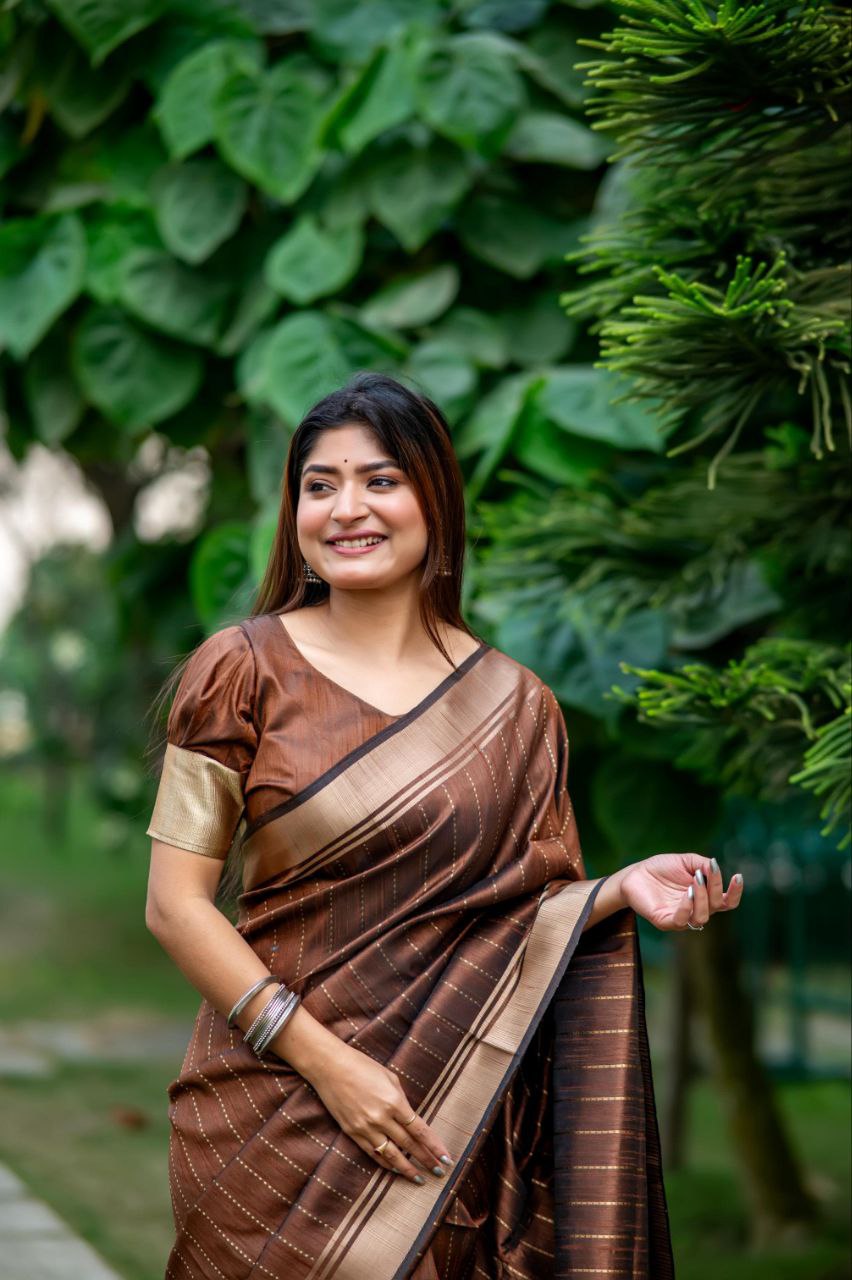 Brown Banarasi Raw Silk Saree