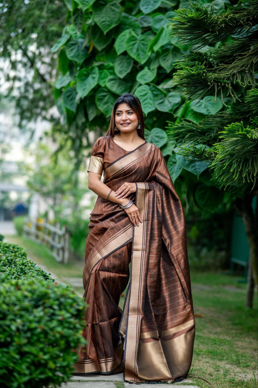 Brown Banarasi Raw Silk Saree