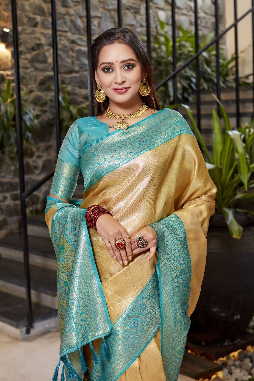 Flowy Silky Tissue Silk Saree