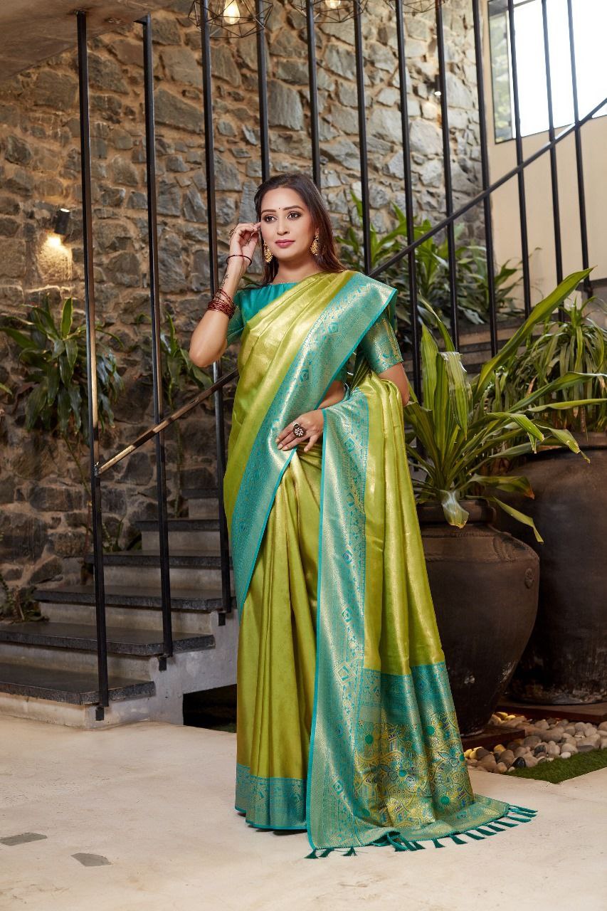 Flowy Silky Tissue Silk Saree