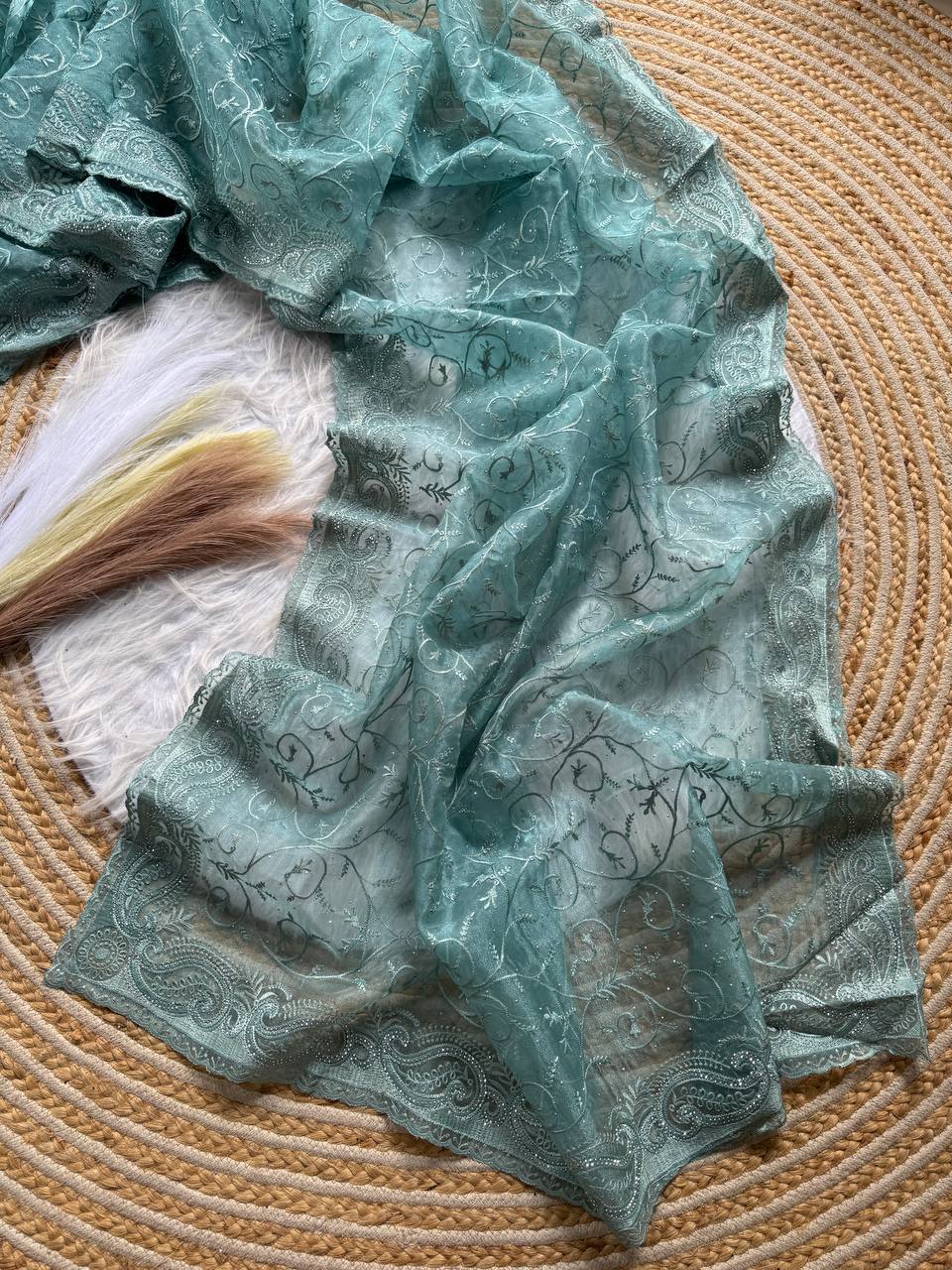 Party Wear Organza Saree With Color Option