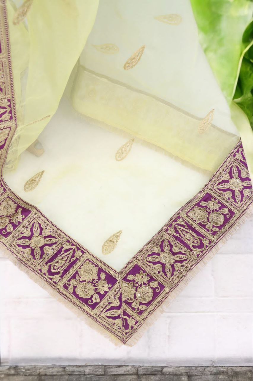 Lime Designer Organza Silk Saree