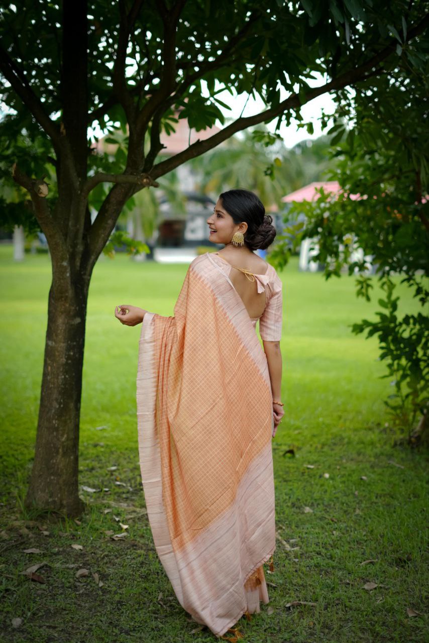 Traditional Tussar Silk Saree