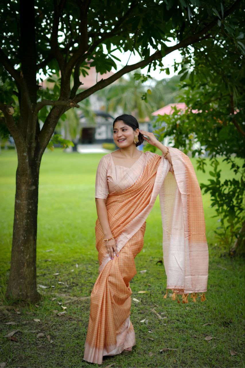 Traditional Tussar Silk Saree