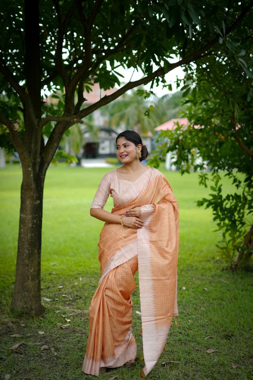 Traditional Tussar Silk Saree