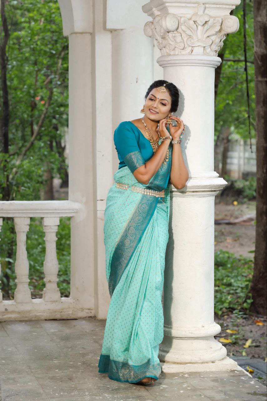 Traditional Khadee Georgette Silk Saree