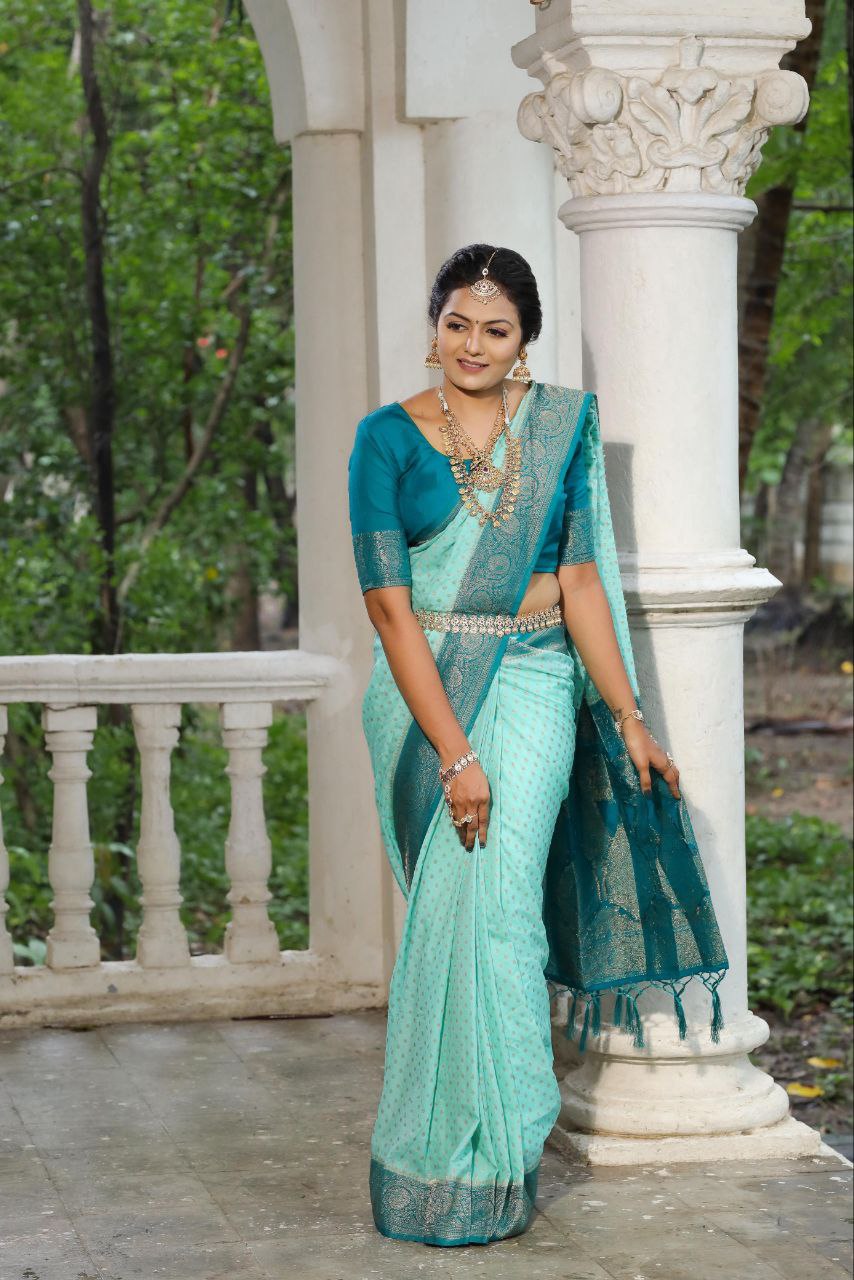 Traditional Khadee Georgette Silk Saree