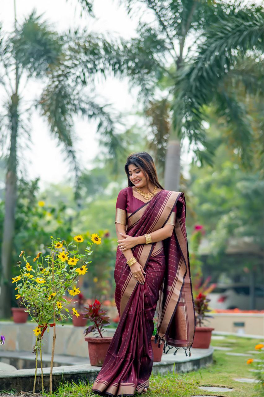 Wine Banarasi Raw Silk Saree