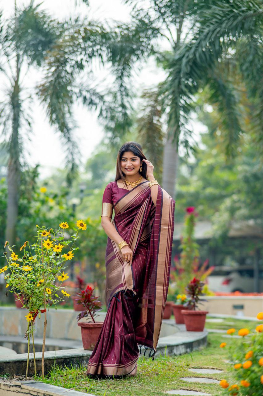 Wine Banarasi Raw Silk Saree