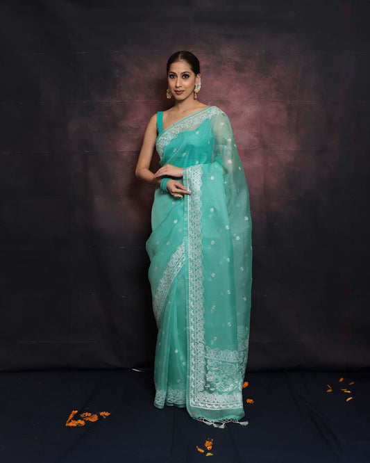 Sky Designer Organza Saree